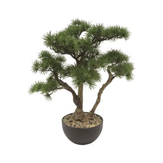 Potted Bonsai Tree 43cm