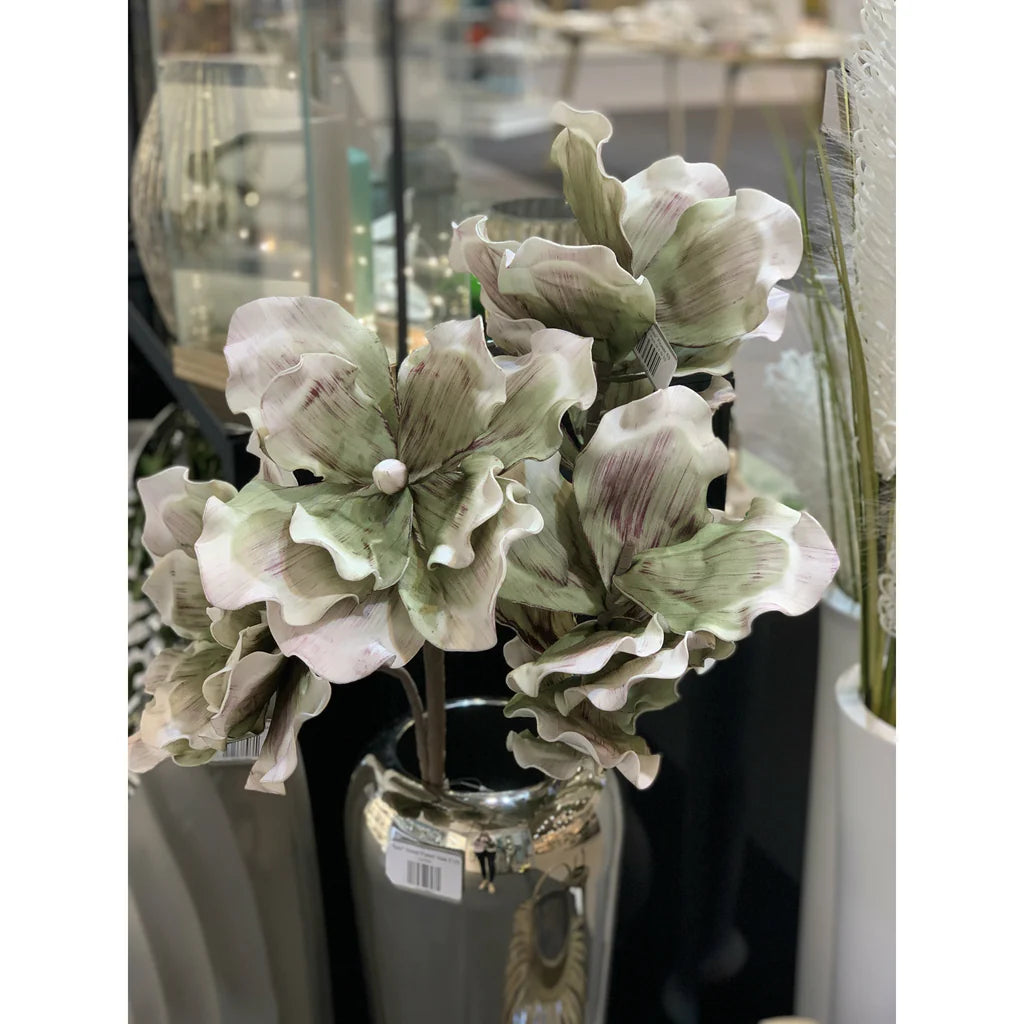 'Amazonias' Flower Stem