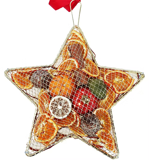 Large Metal Mesh Cage Star