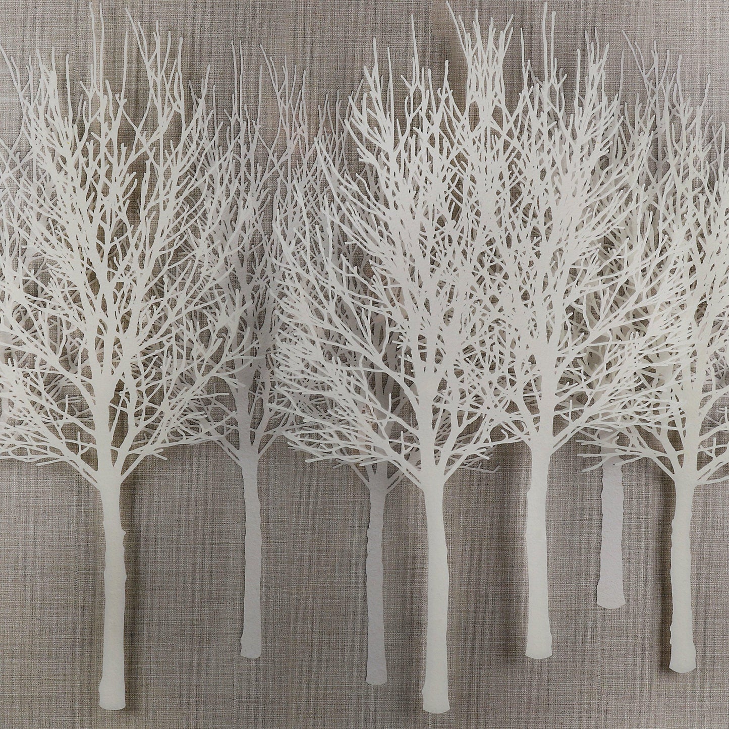 Wonder Woods by Laura Bolton