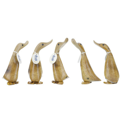 Natural Finish Duckling by DCUK