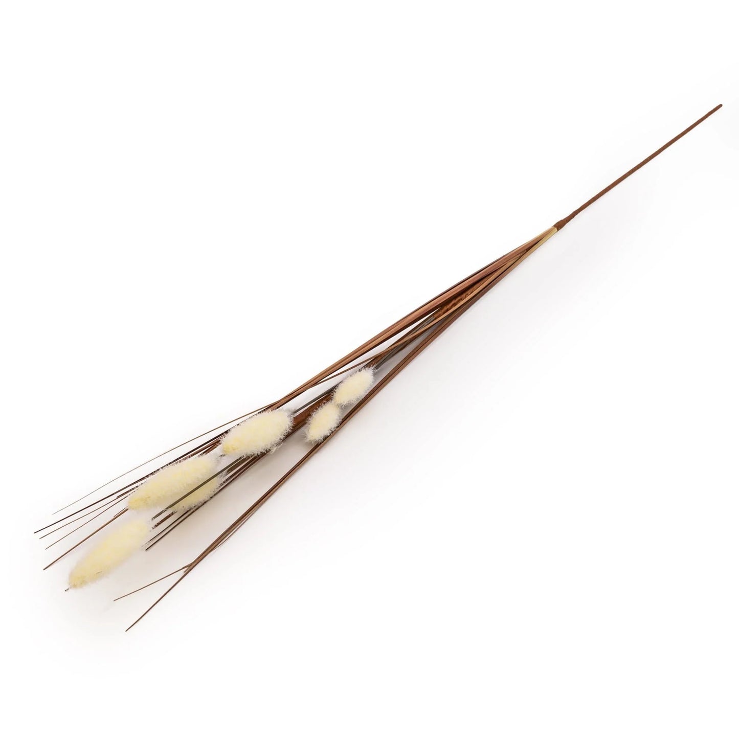 Foxtail - Cream 73cm by Candlelight