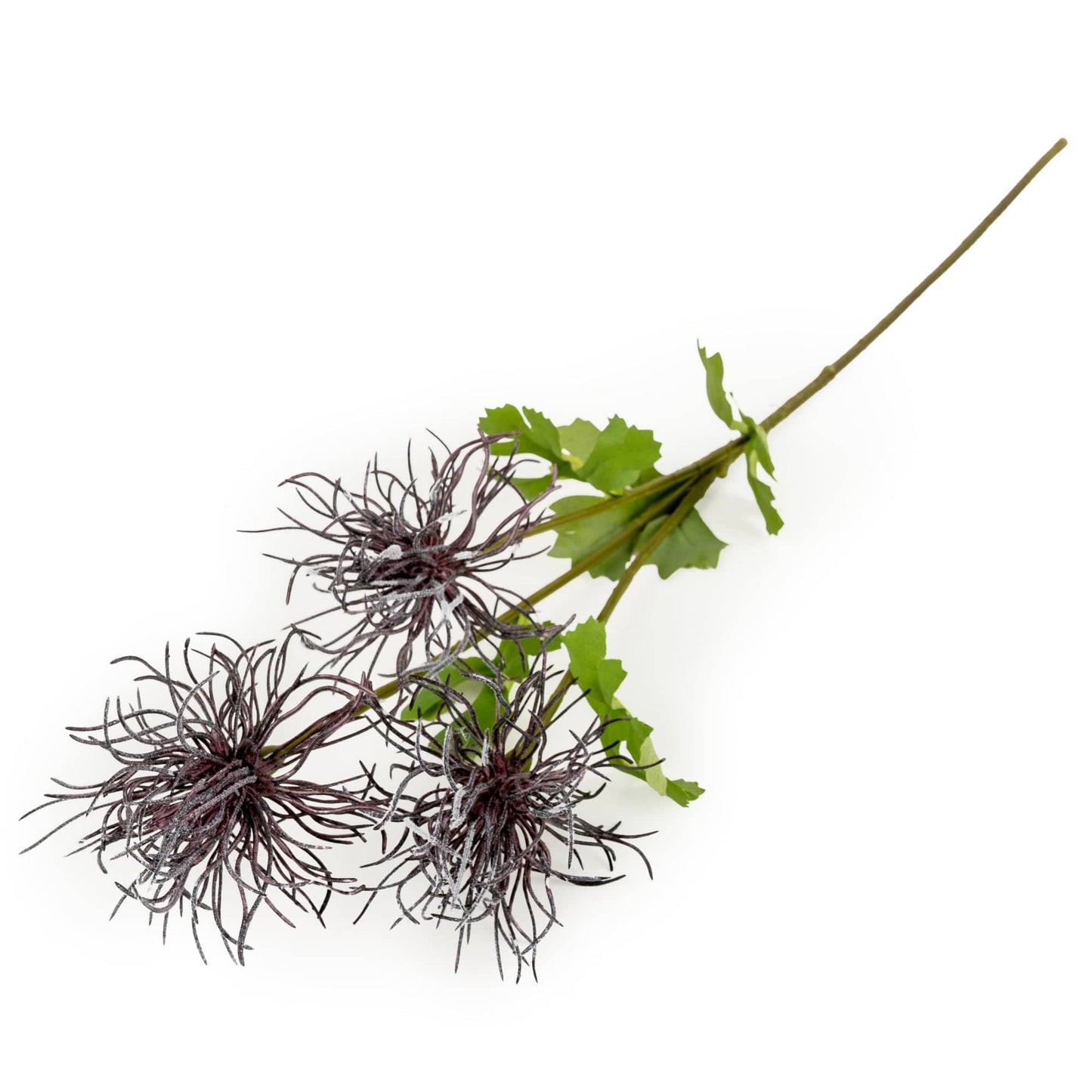 Echinops Stem 66cm by Candlelight