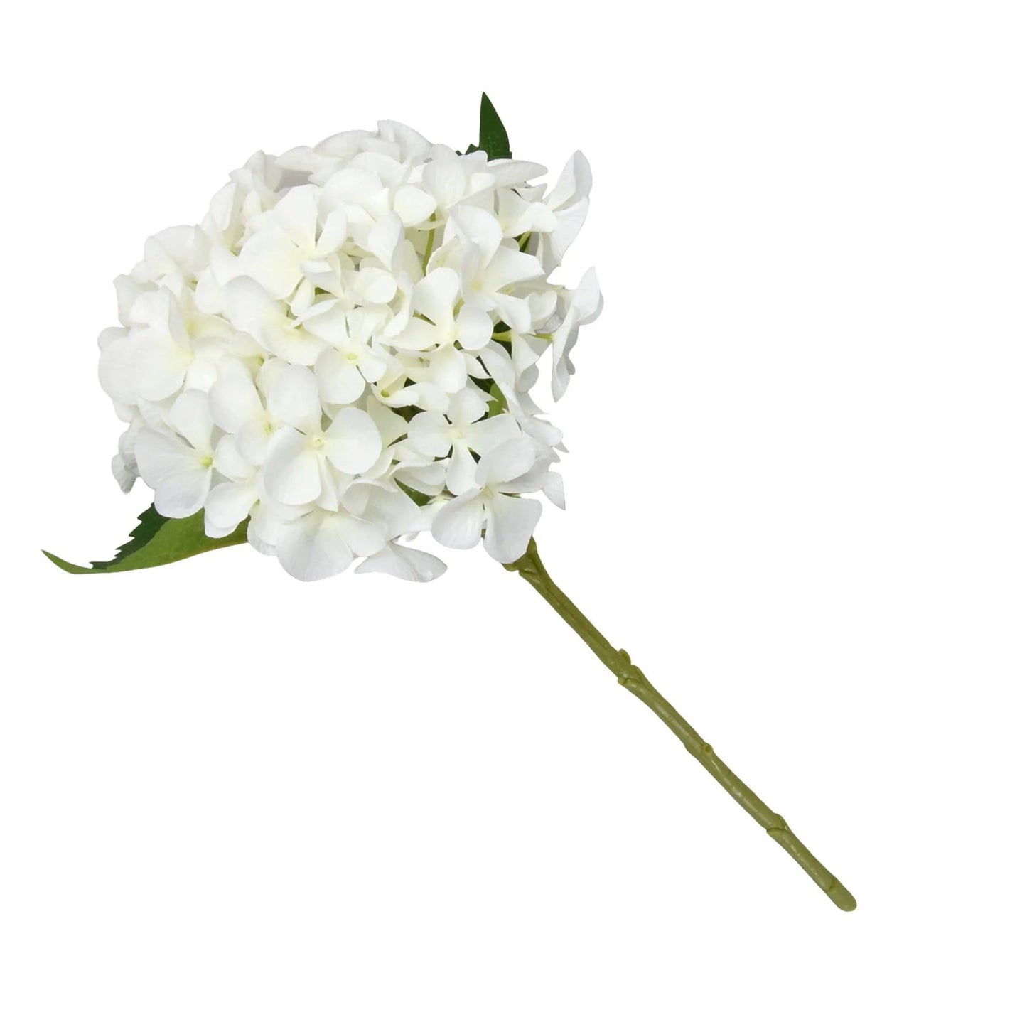 Single White Hydrangea 46cm by Candlelight