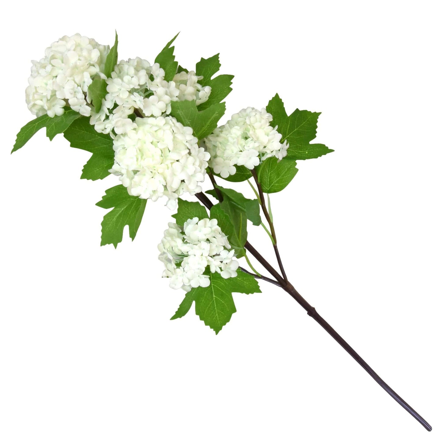 6 Headed White Viburnum 64cm by Candlelight