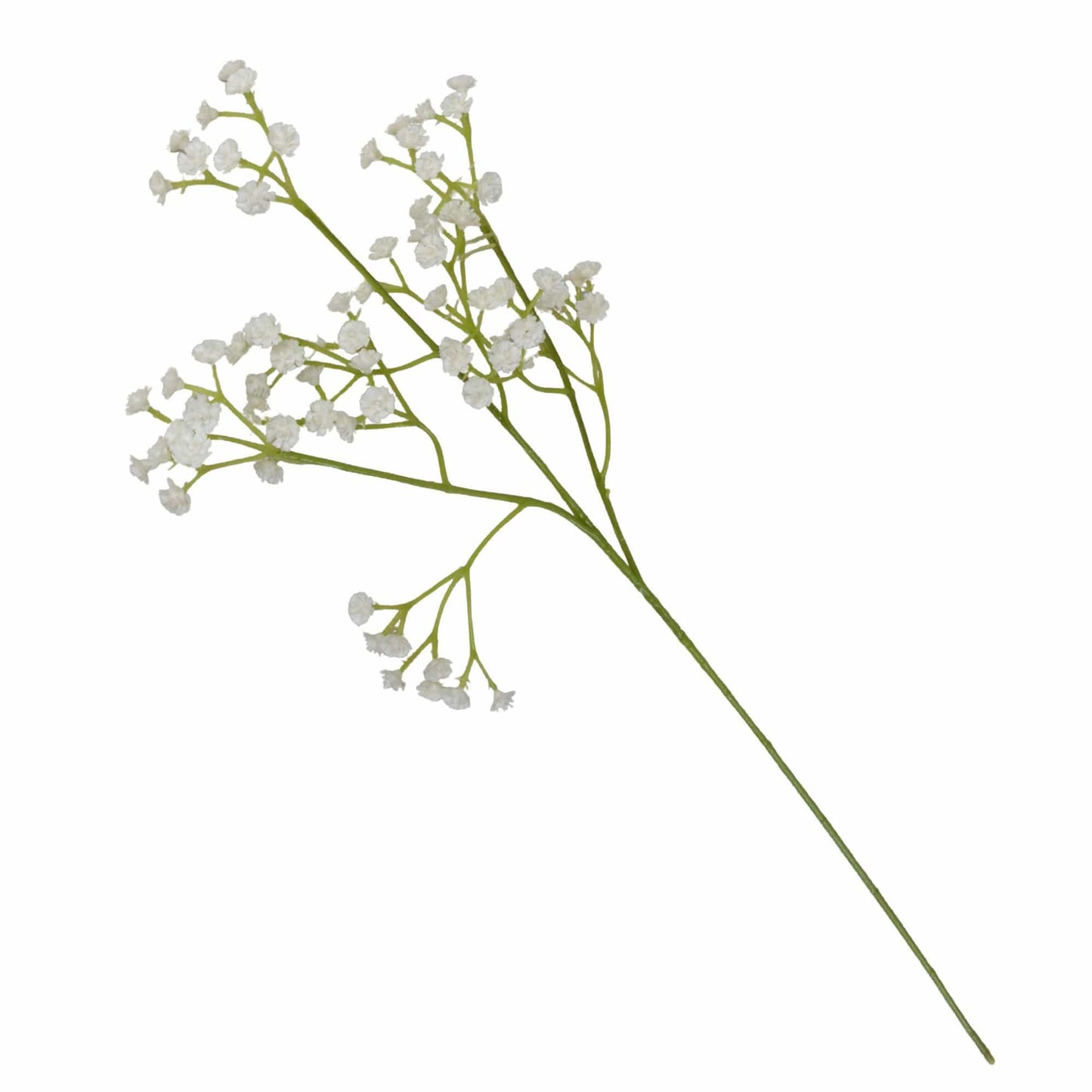 White & Green Gypsophila 62cm by Candlelight