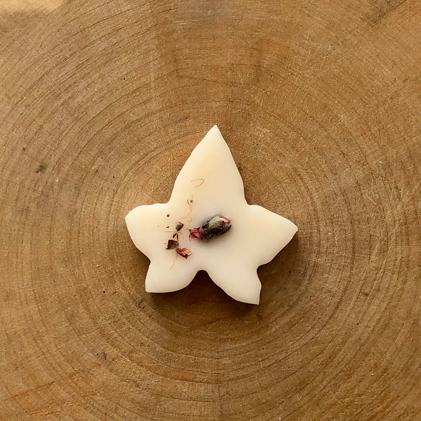 Cashmere Vanilla Ivy Melts (10) by Ivy & Twine