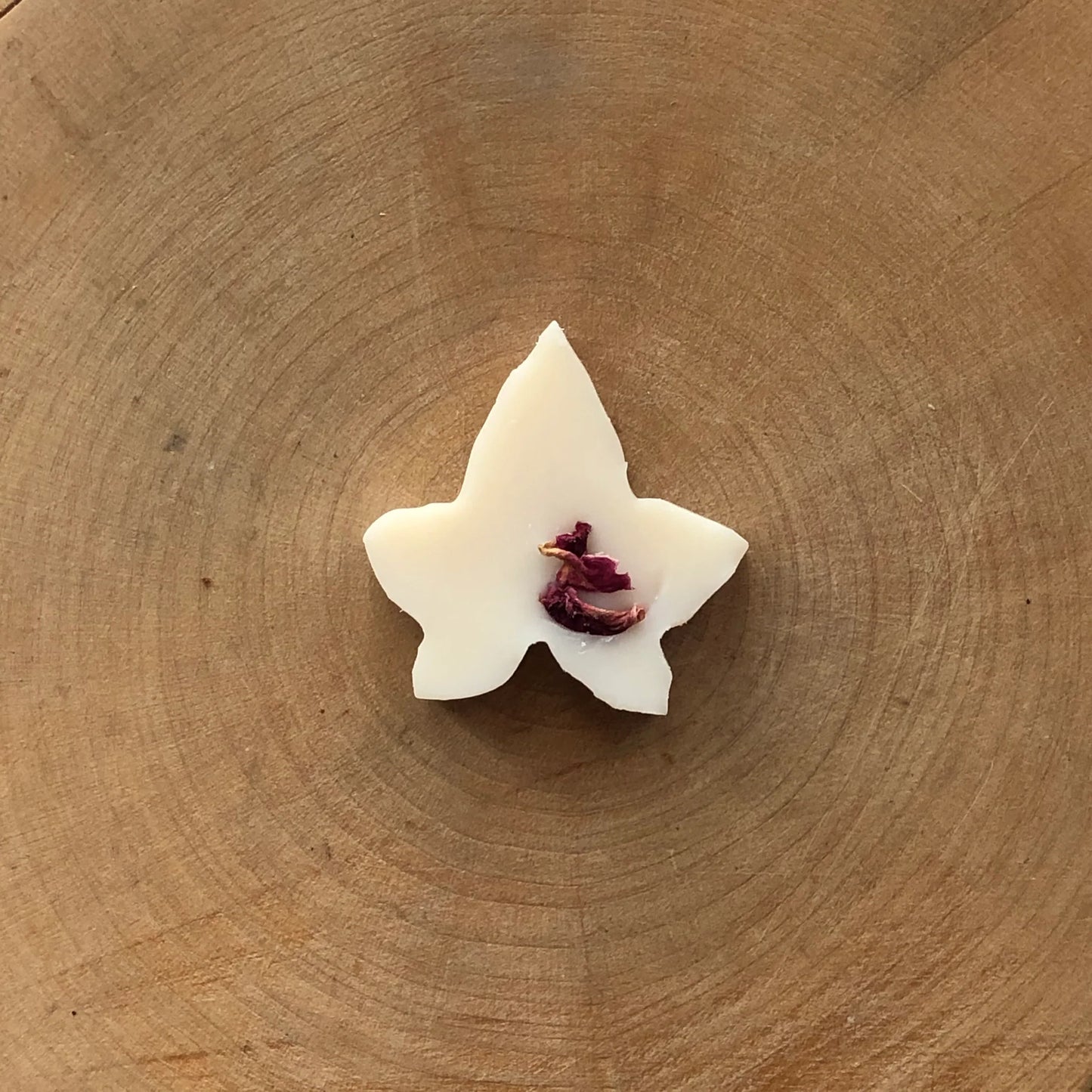 Damson & Rose Ivy Melts (10) by Ivy & Twine