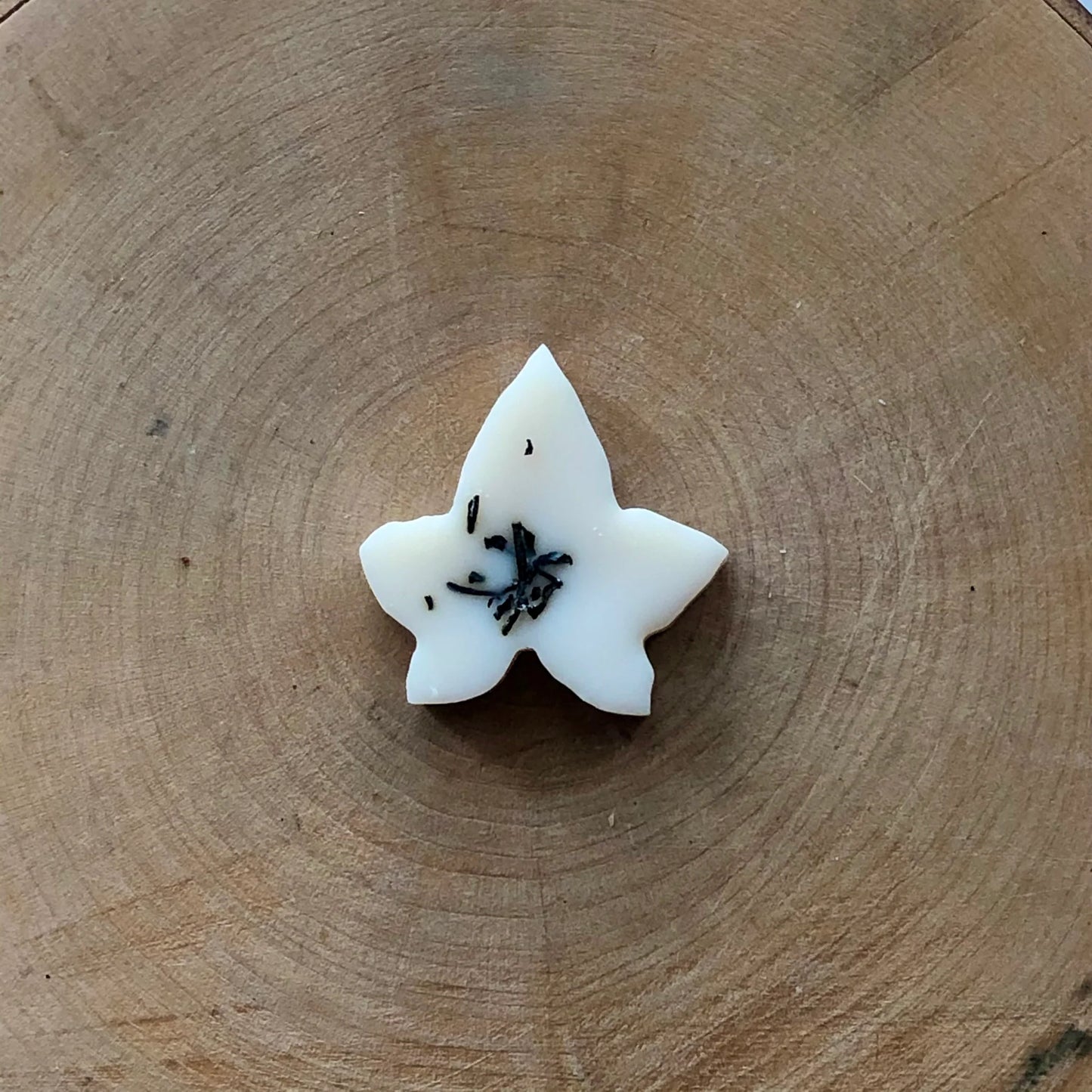 Fireside Ivy Melts (10) by Ivy & Twine