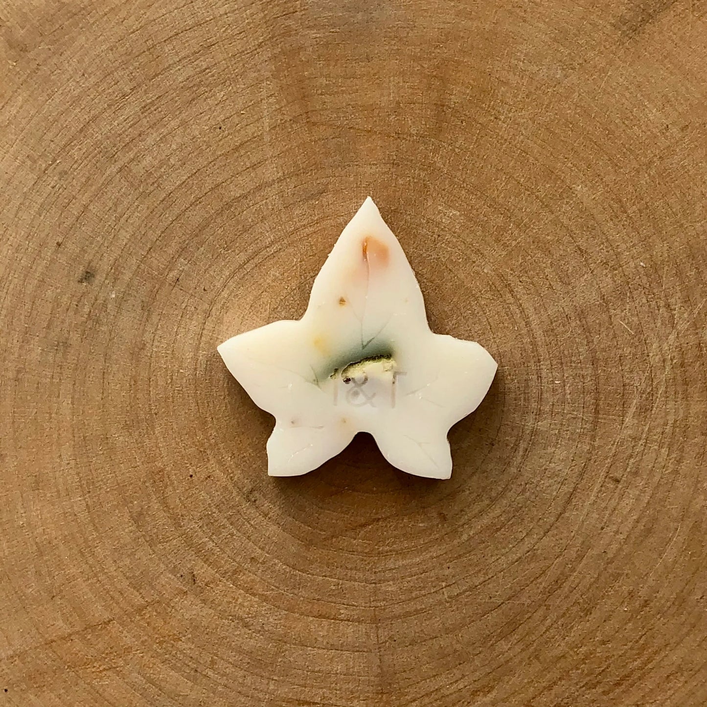 Mango & Lime Ivy Melts (10) by Ivy & Twine