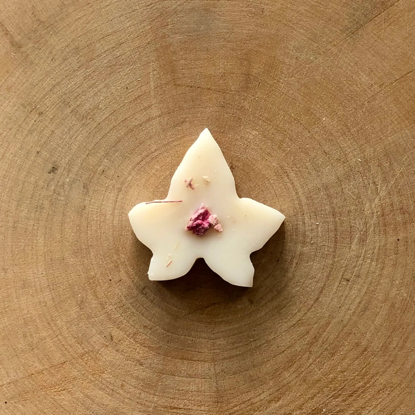 Rhubarb & Plum Noir Ivy Melts (10) by Ivy & Twine