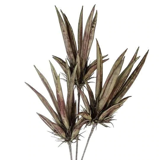 'Siera' Tropical Leaf Stem with 3 Blossoms