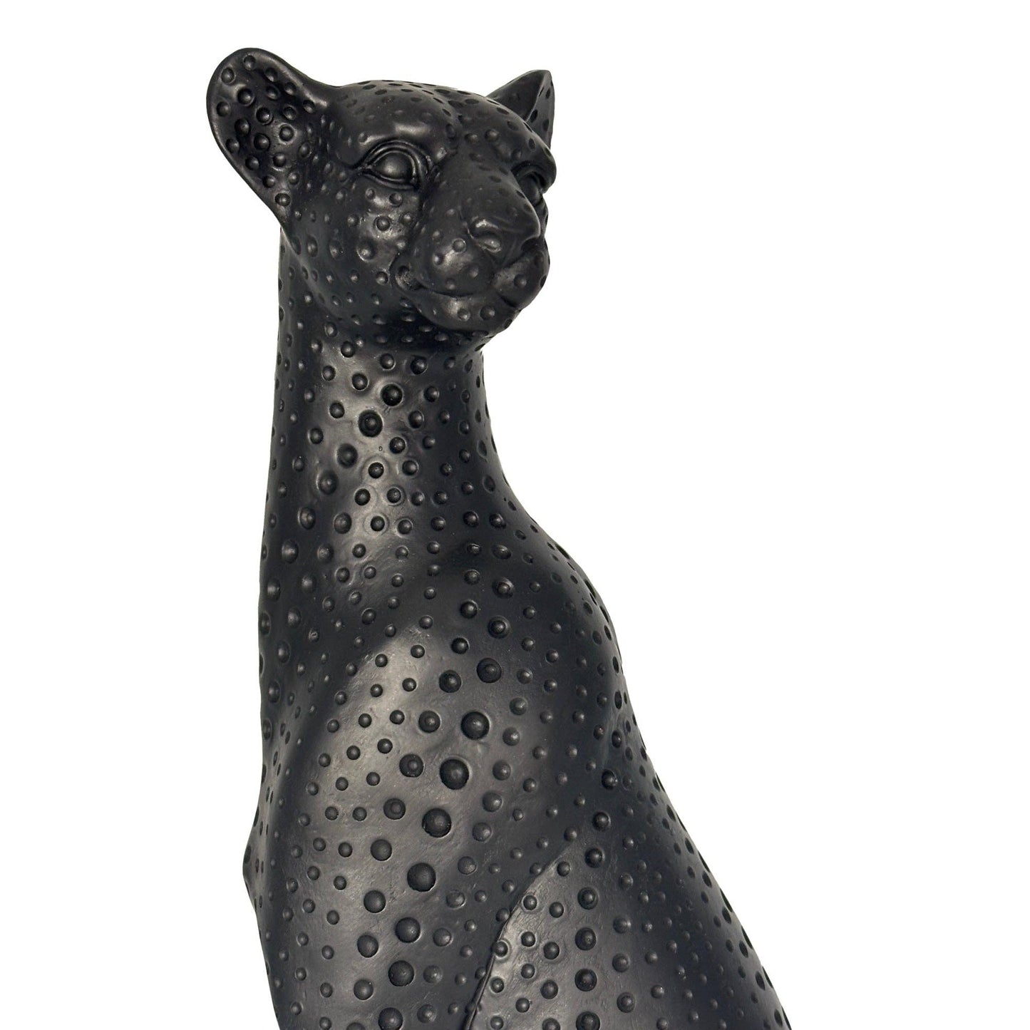 Black Cheetah