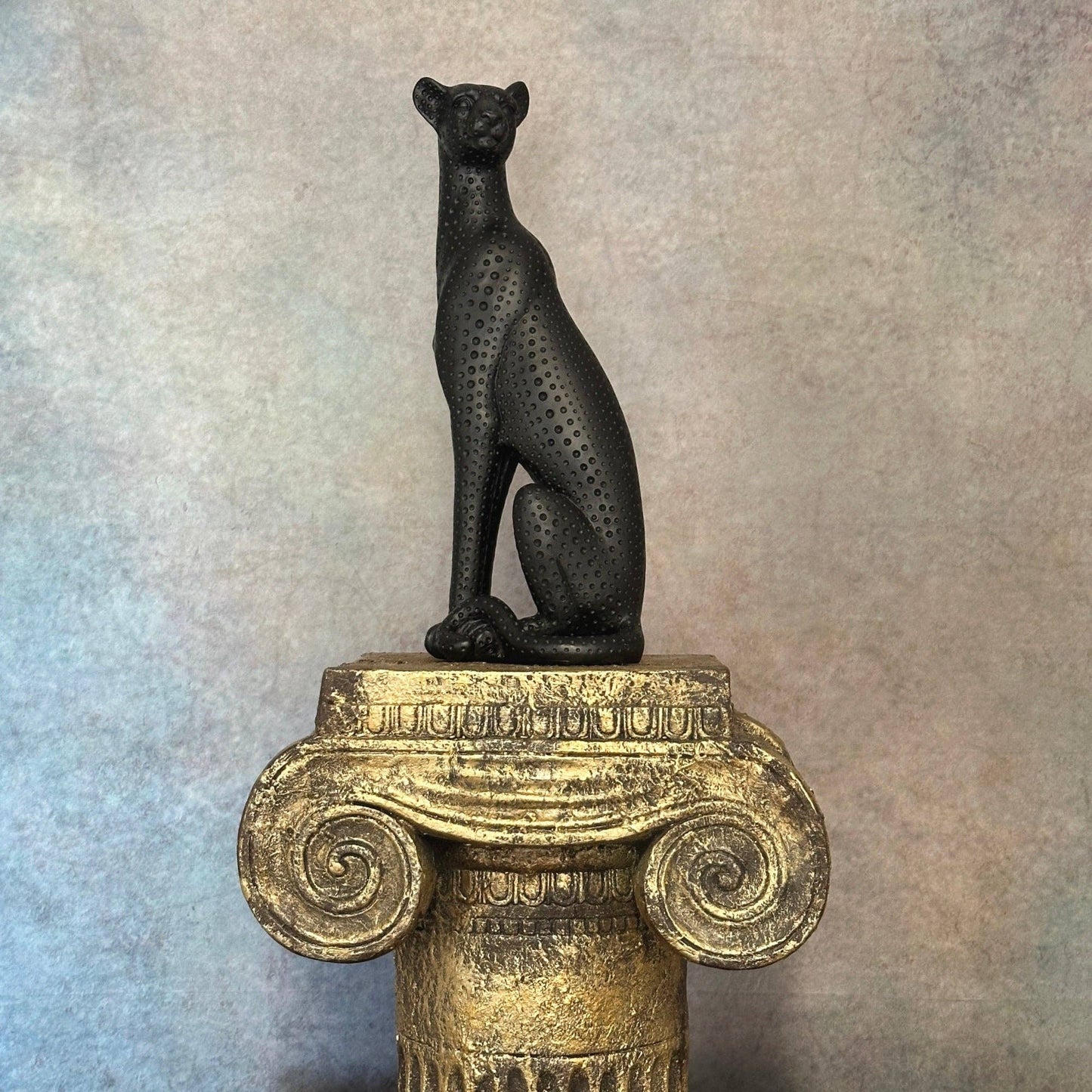 Black Cheetah