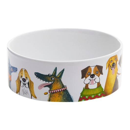 From Wags to Whiskers, Dog Bowl Large