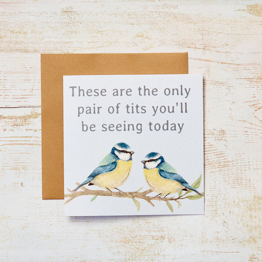 Blue Tits Humour Card by Richard Lang