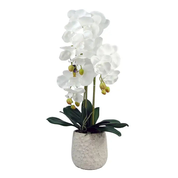 Artificial White Orchid with Ceramic Bubble Planter 60cm