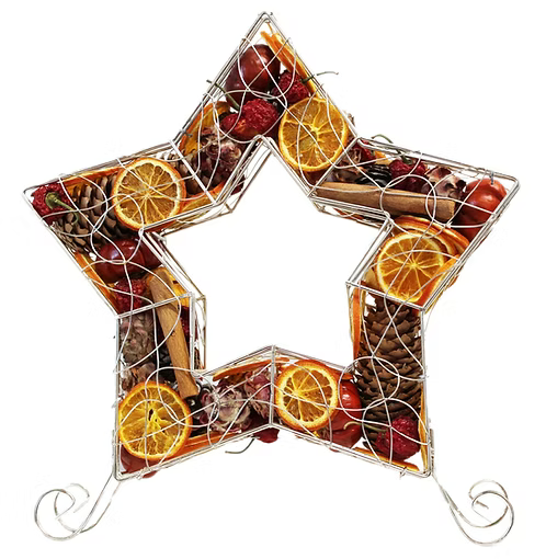 XLarge Metal Standing Star Cage
