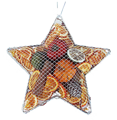 Large Metal Mesh Cage Star