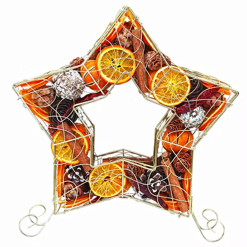 XLarge Metal Standing Star Cage