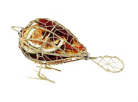 Standing Metal Cage Robin