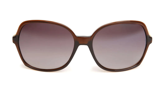 Cannes Chestnut Sunglasses by The Nook