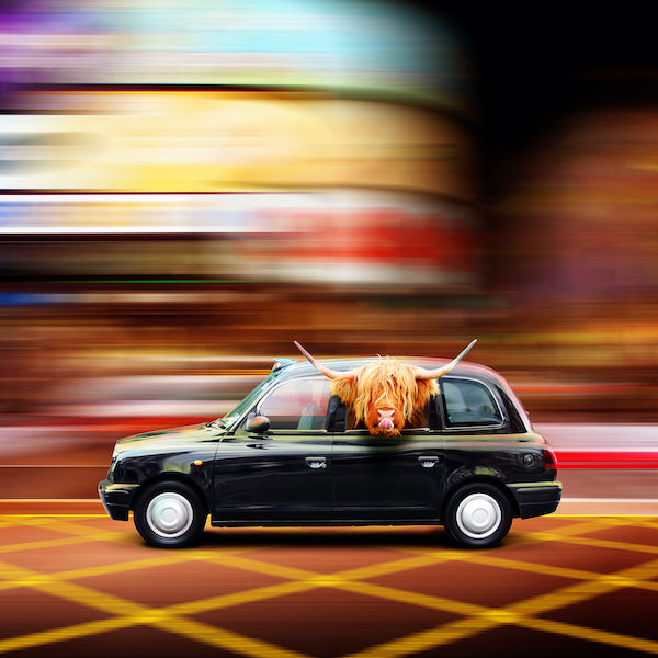 London Taxi Cab Photographic Greetings Card