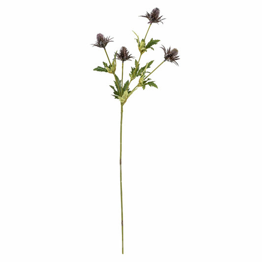 Thistle Stem 72cm by Candlelight