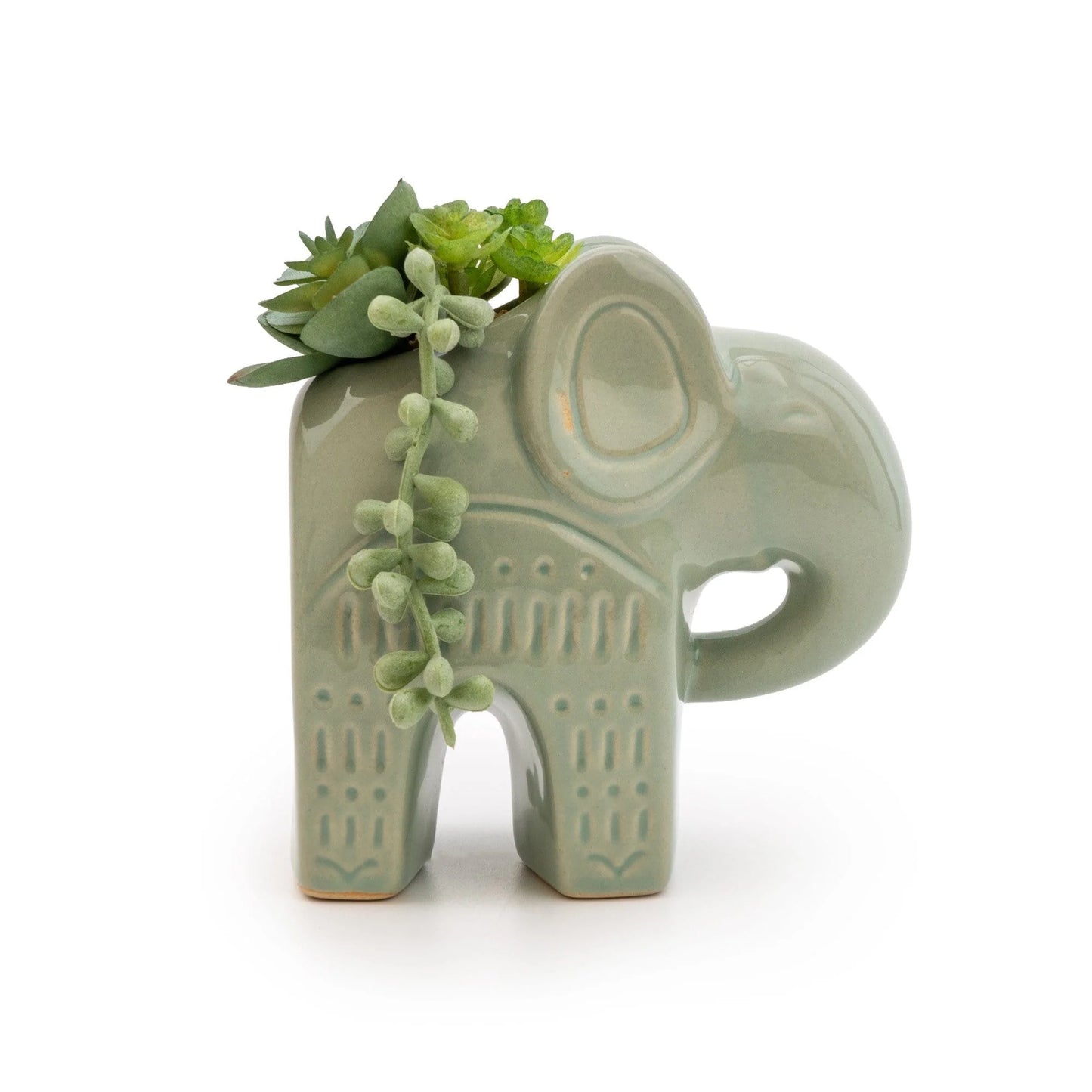 Succulents in Ceramic Elephant Pot