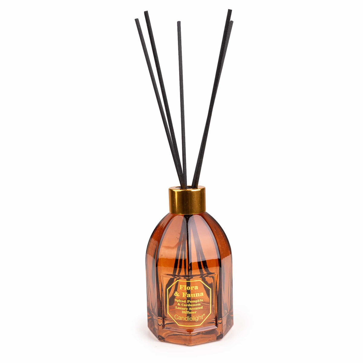 200ML REED DIFFUSER FLORA & FAUNA PUMPKIN