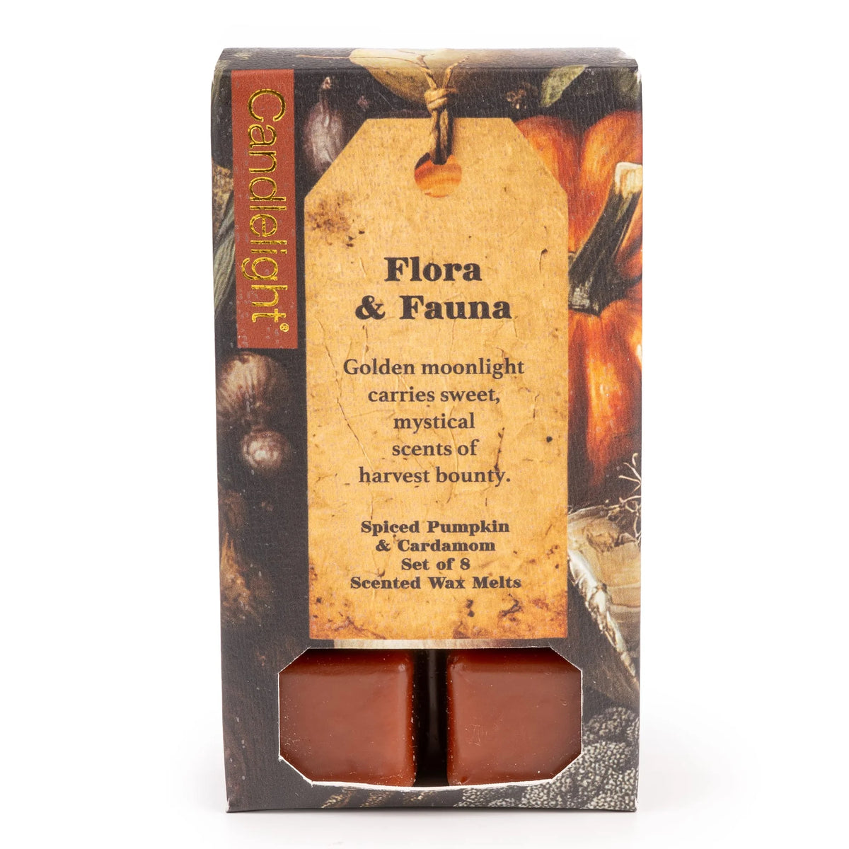 8 PACK WAX MELTS FLORA & FAUNA PUMPKIN
