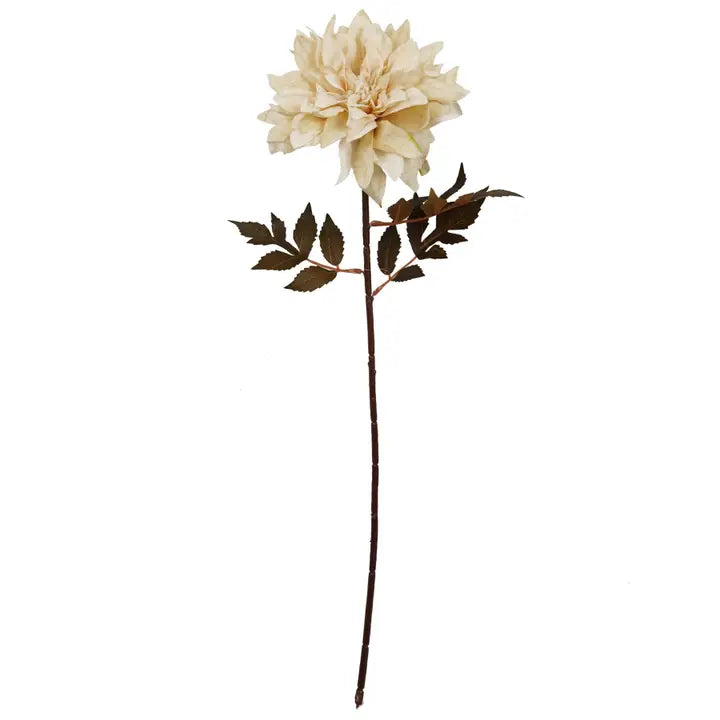 Dahlia Flower Stem - Dusty Cream 55cm