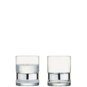 Soho Tumblers Silver Set of 2 by The DRH Collection