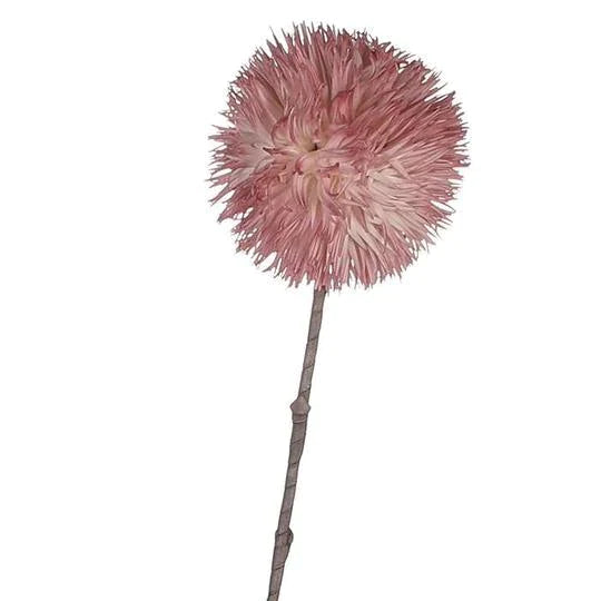 'Starburst' Pink Flower Stem