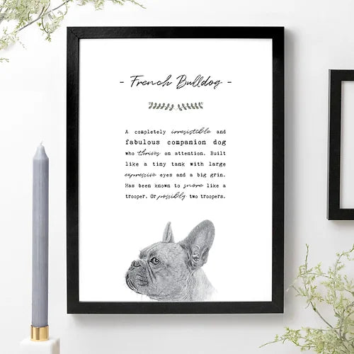 French Bulldog Breed Traits A3 Print Unframed