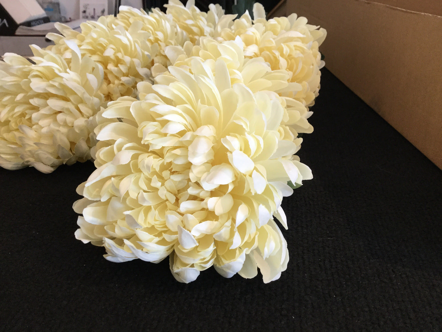 Chrysanthemum Cream 89cm