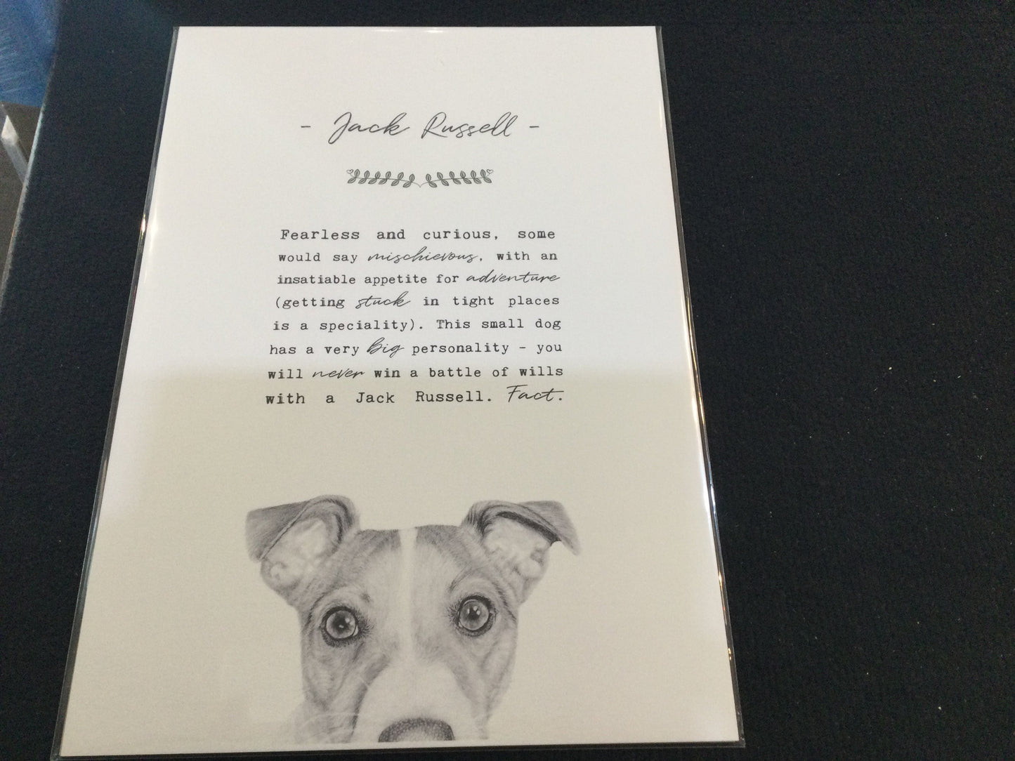 Jack Russell Breed Traits A3 Unframed Print