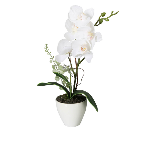 White Real-Touch Orchid Flower in Pot by CIMC